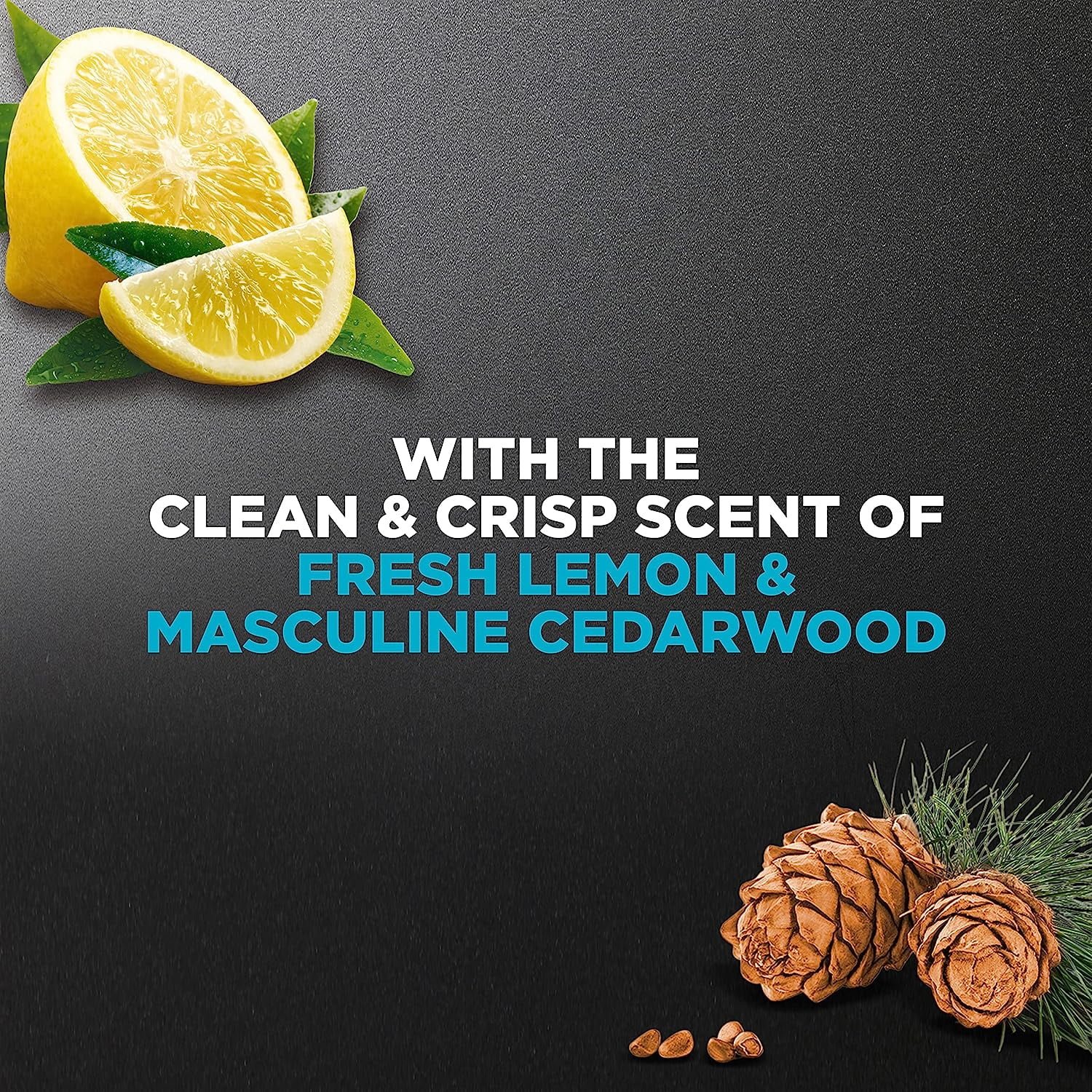 Dove - Men + Care Body + Face Wash, Hydrating Clean Comfort_2